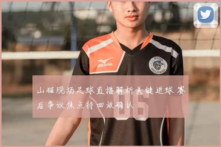 山猫现场足球直播解析关键进球 赛后争议焦点待回放确认