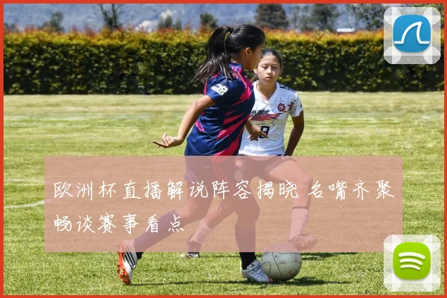 欧洲杯直播解说阵容揭晓 名嘴齐聚畅谈赛事看点