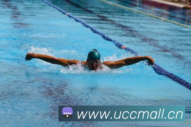 多媒体互动体验